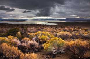 Mono Lake-8724